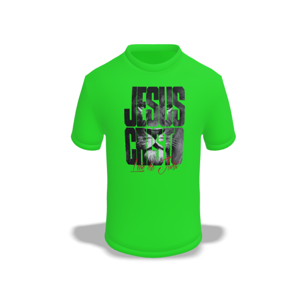 Camiseta Adulto